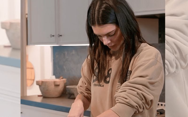 Kendall Jenner Not Happy About Her Viral ‘Cucumber’ Video