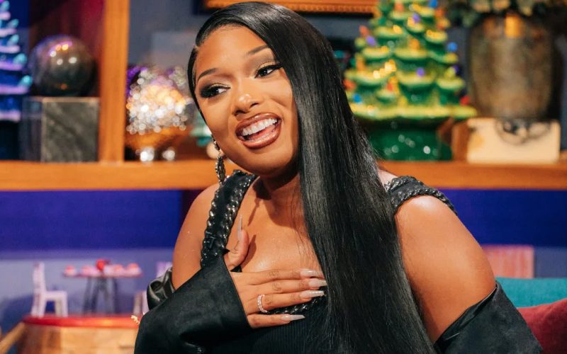 Megan Thee Stallion Getting Netflix Comedy Series Based On Her Life