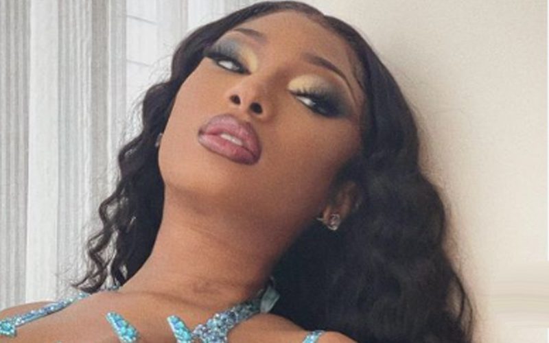 Megan Thee Stallion Is Ready To Put On A Show With Revealing Photo Drop