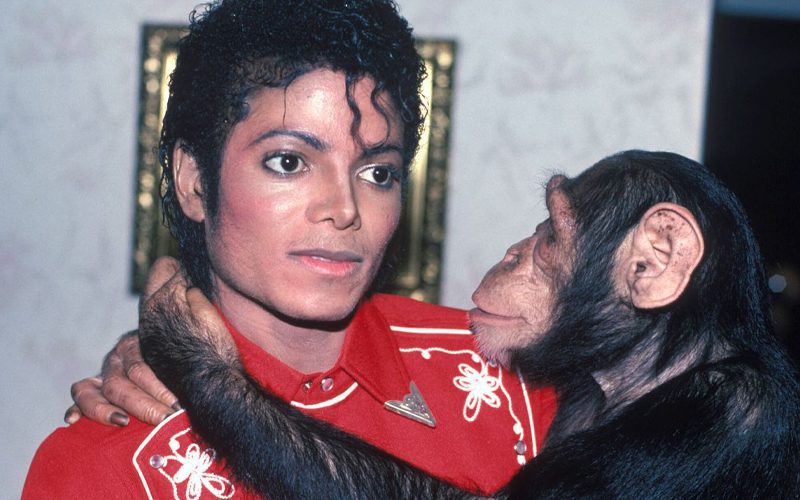 Michael Jackson Called Out For Repeated Acts Of Animal Cruelty