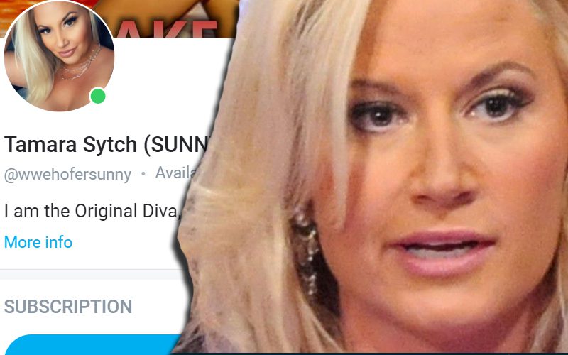 WWE Hall Of Famer Tammy Lynn Sytch Dragged For Promoting OnlyFans Amid Battling Manslaughter Charge