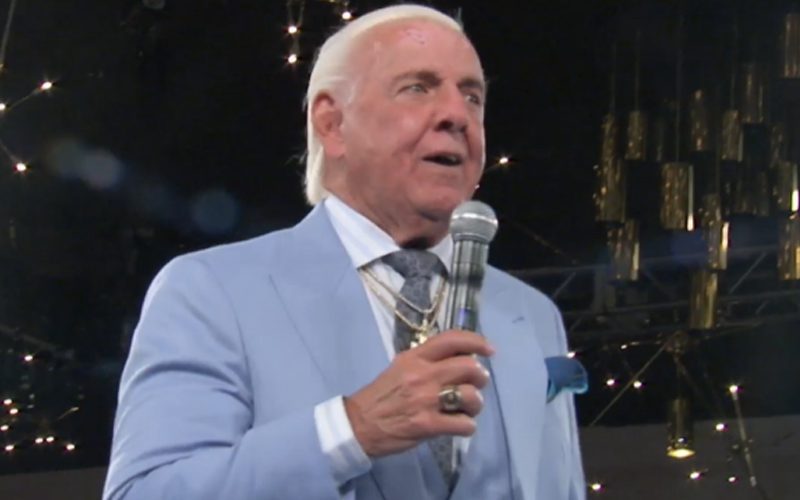 WWE Hall Of Famer Ric Flair Planning To Wrestle Again