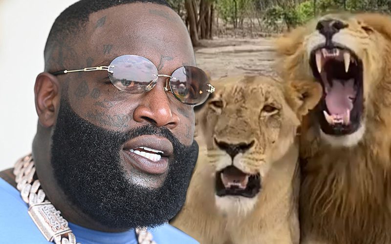 Rick Ross Wants To Add Lions To His Exotic Animal Collection