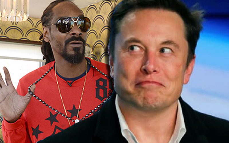 Elon Musk Supports Snoop Dogg’s Interest In Buying Twitter