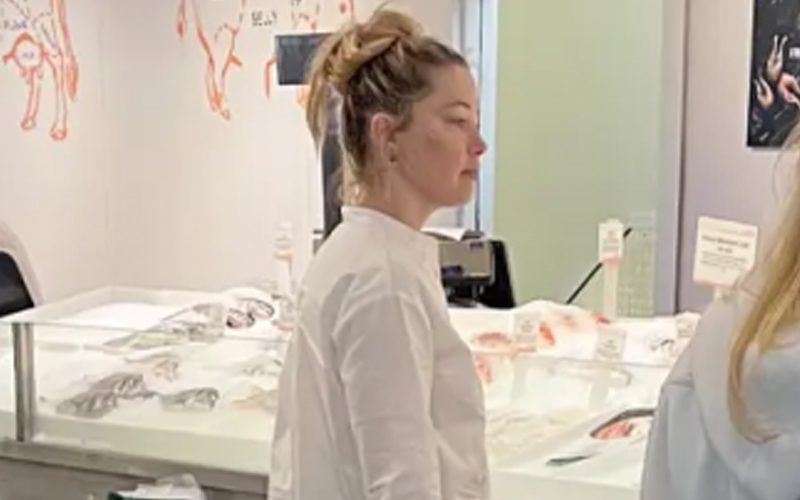 Amber Heard Spotted Doing Her Own Grocery Shopping After Johnny Depp Verdict