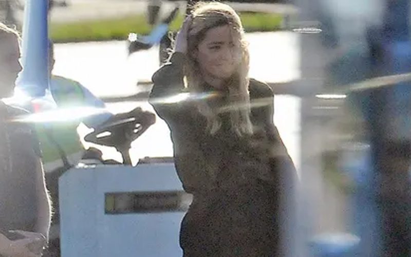 Amber Heard Seen For The First Time Since Johnny Depp Trial Loss