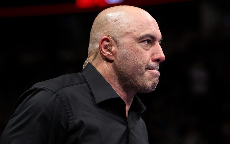Joe Rogan Calls For MMA Judging To Be Completely Overhauled