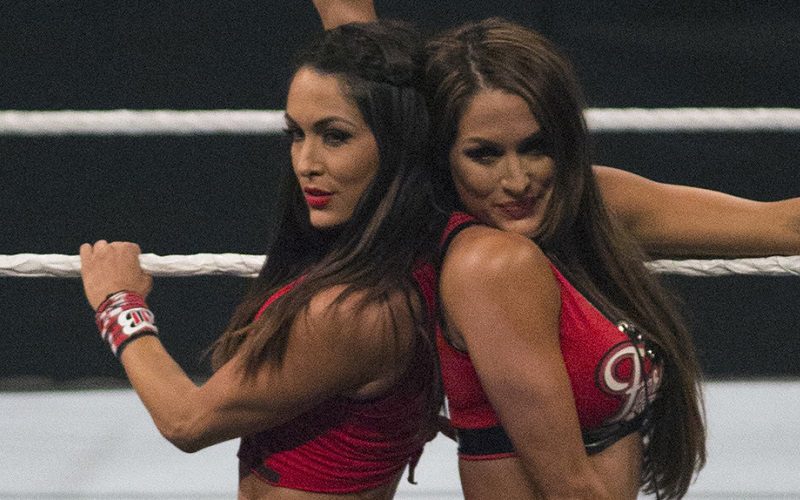 The Bella Twins Have A Hard Time Celebrating Their Accomplishments In WWE
