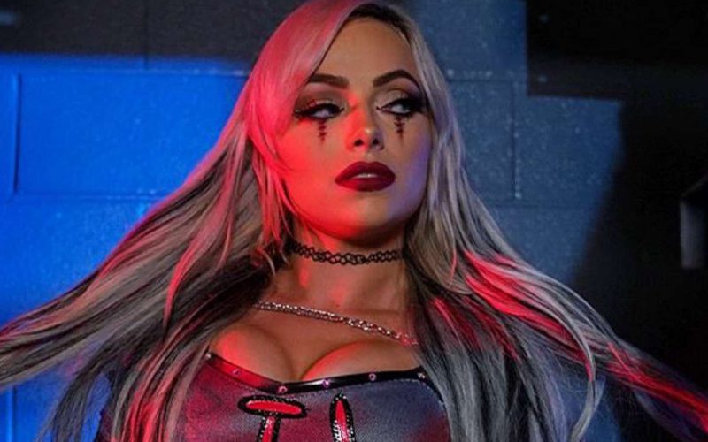 Liv Morgan Snags Movie Role In Star Studded Film