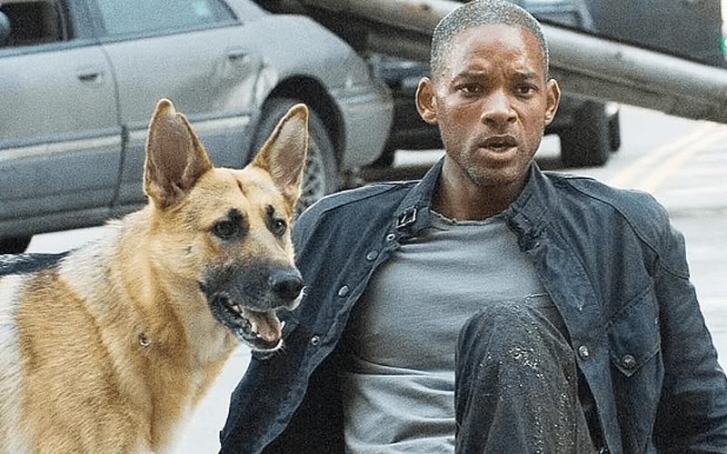 Will Smith Is Planning Comeback With ‘I Am Legend 2’ In The Works