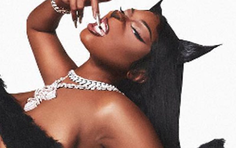 Megan Thee Stallion Bares All In Shocking Photo Drop