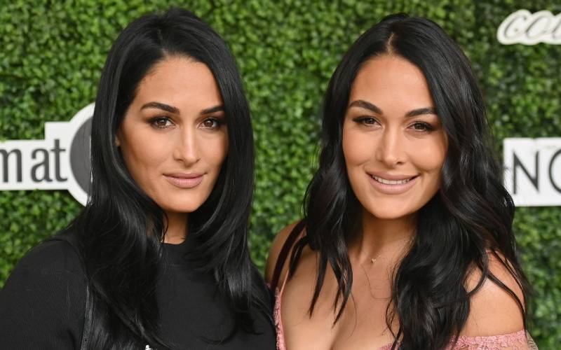 WWE Excited To Make More Content With The Bella Twins