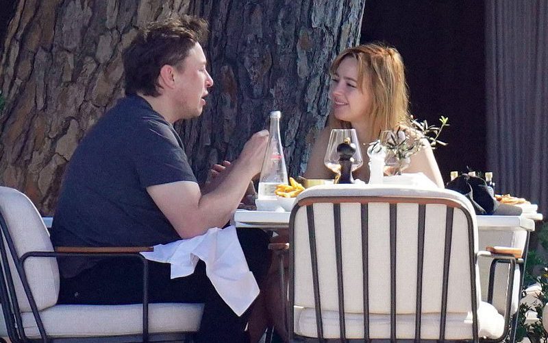 Elon Musk & Natasha Bassett Break Up After Twins Revelation