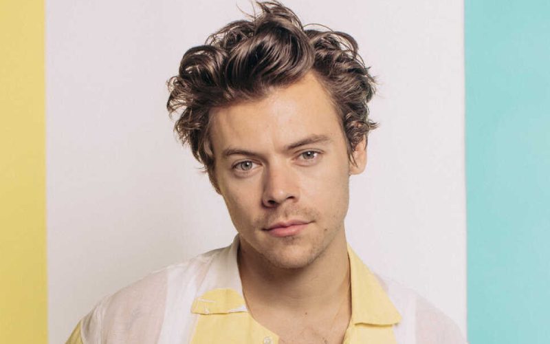 Harry Styles Fans Are Convinced That He Wears A Wig