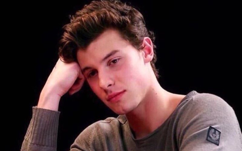 Shawn Mendes Postpones Shows To Prioritize His Mental Health