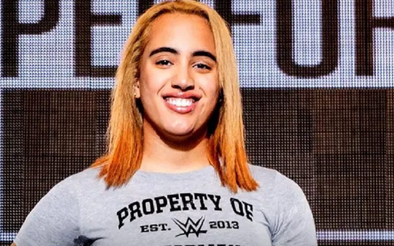The Rock’s Daughter’s WWE NXT Debut Teased At Live Event