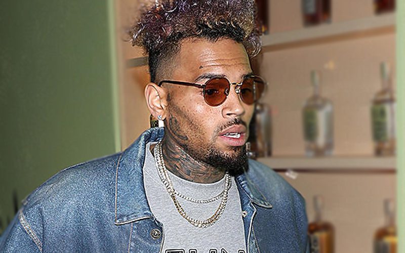 Chris Brown Accused Of Running Off With $1.1 Million After Cancelling Concert During Soundcheck 