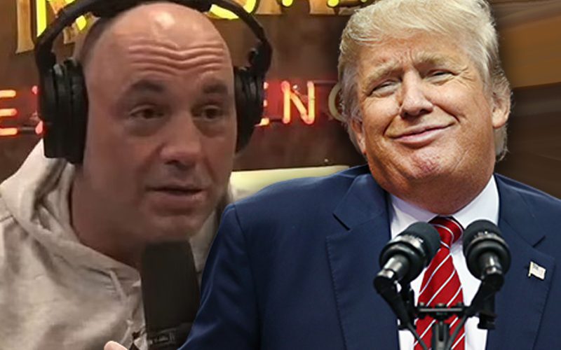Joe Rogan Would Never Have Donald Trump On His Podcast