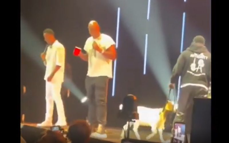 Kevin Hart Brings A Goat Named ‘Will Smith’ On Stage For Chris Rock