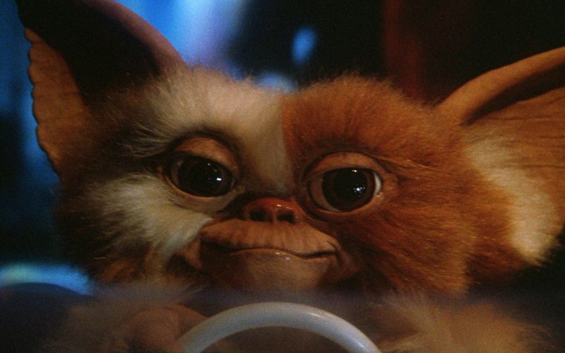 ‘Gremlins’ Director Joe Dante Accuses Baby Yoda Of Being A Gizmo Rip Off
