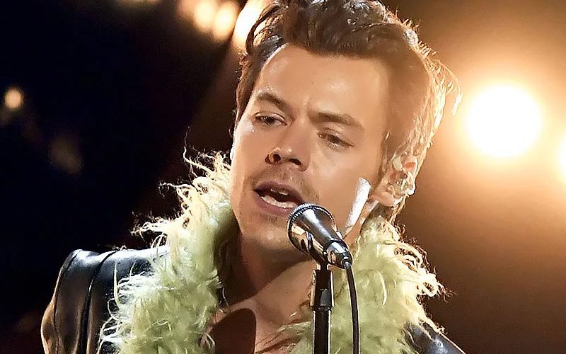 Harry Styles Cancels Concert After Nearby Shooting