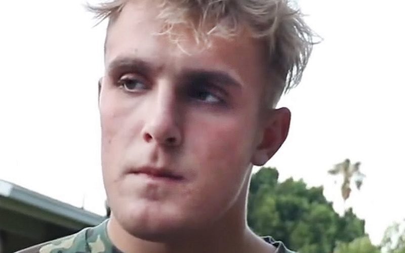 Jake Paul Fight With Hasim Rahman Jr. Expected To Bomb