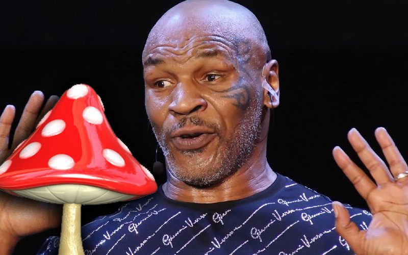 Mike Tyson Was On Mushrooms During Roy Jones Jr Fight