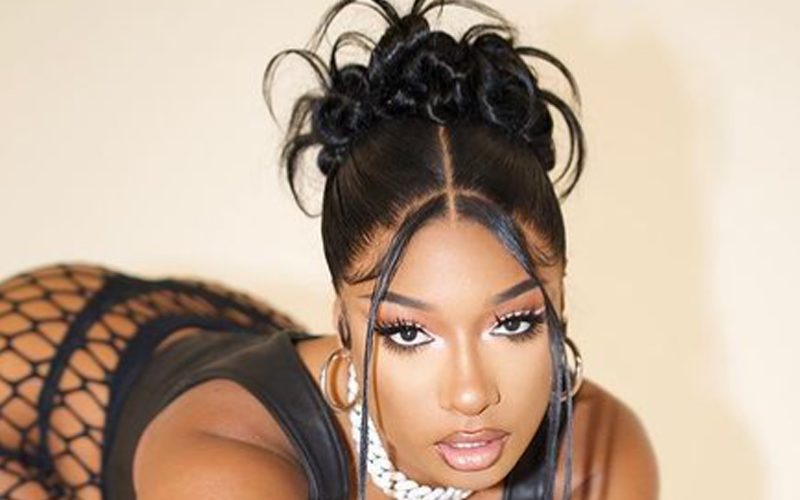 Megan Thee Stallion Turns Up The Heat With Fishnet Photo Drop