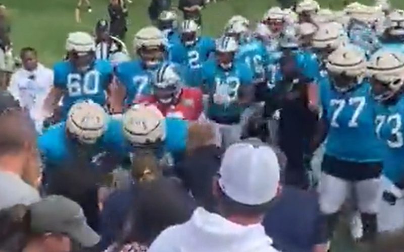 Massive Patriots & Panthers Brawl Spills Into Fans