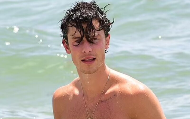 Shawn Mendes Flaunts Six Pack Abs While Soaking In The Miami Beach Sun