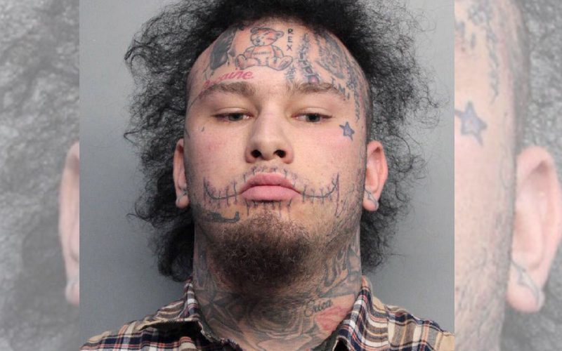 Stitches Arrested On Multiple Charges In Florida