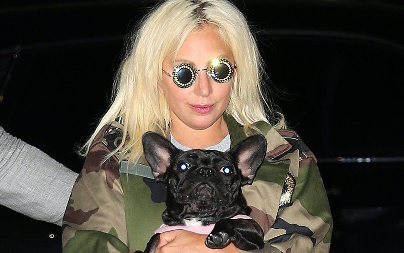 Lady Gaga’s Dognapper Sentenced To Four Years Behind Bars