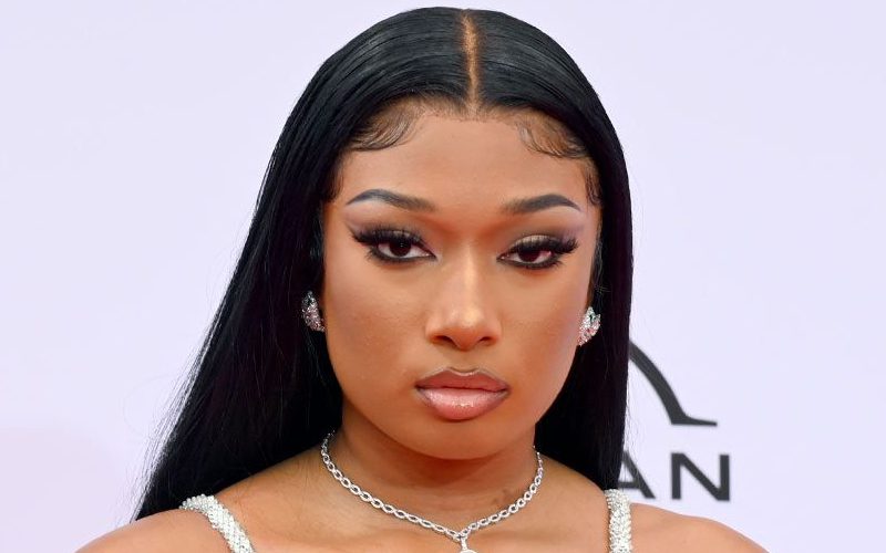 Megan Thee Stallion Gets Support From Fans After Trolls Joke About Her Deceased Parents