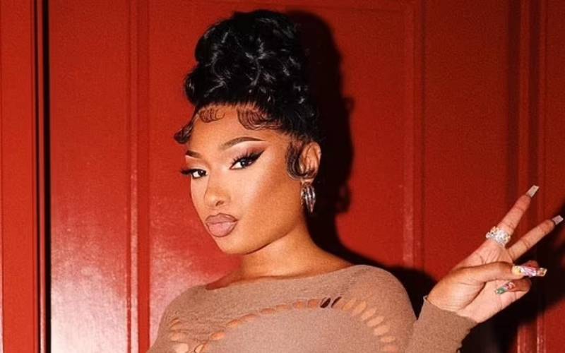 Megan Thee Stallion Shows Off Big In See Through Catsuit