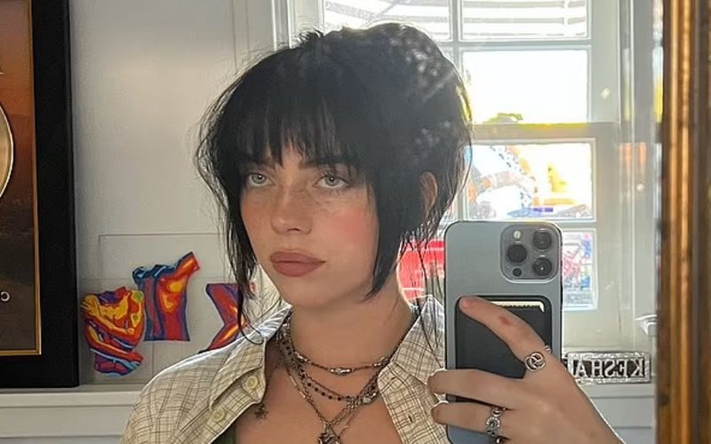 Billie Eilish Shows Off Big In Sultry Photo Drop
