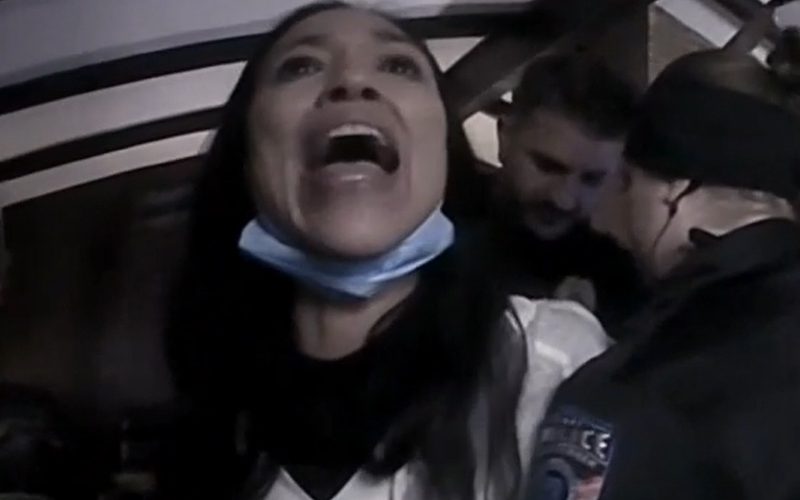 ‘Pocahontas’ Actress Irene Bedard Detained For Disorderly Conduct