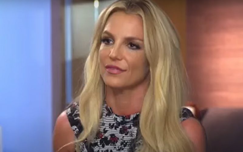 Britney Spears Fires Back At Kevin Federline After Claims That Their Sons Don’t Want To See Her