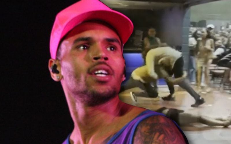Chris Brown Fan Knocked Unconscious During Scary Fight At Concert
