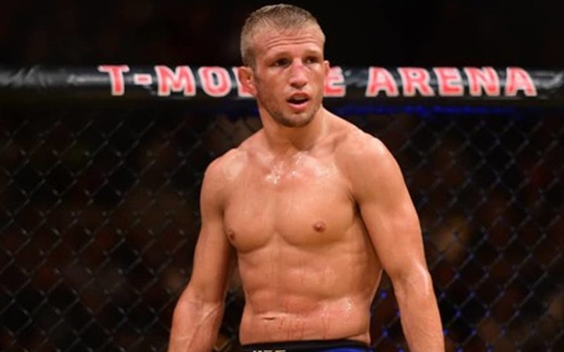 T.J. Dillashaw Says Aljamain Sterling Is Finding Excuses To Justify Future UFC 280 Loss
