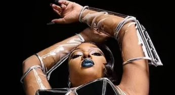Megan Thee Stallion Records Scandalous Dance Video On Fan’s Cell Phone During Concert