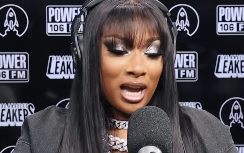 Megan Thee Stallion Demands $1 Million From Record Label For Not Paying Her Royalties