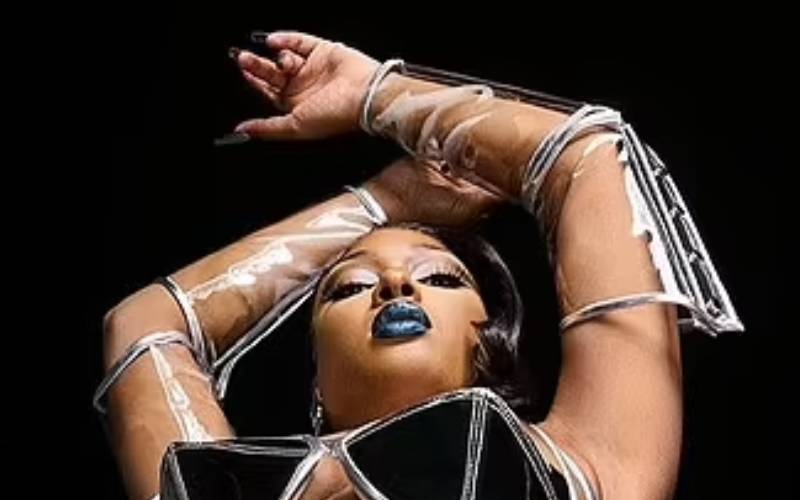 Megan Thee Stallion Records Scandalous Dance Video On Fan’s Cell Phone During Concert