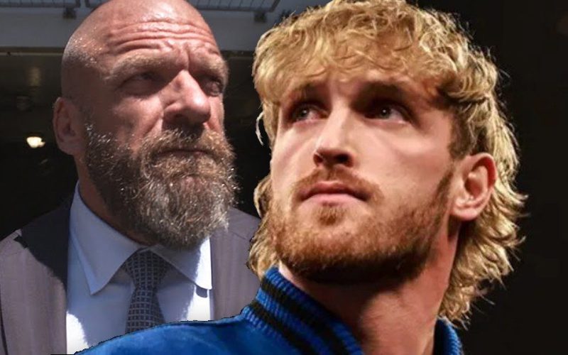 Triple H Explains To Logan Paul How Pro Wrestling Has A Different Focus Than Boxing