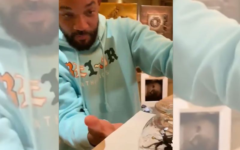 Will Smith Gets Massive Scare After Close Encounter With Tarantula
