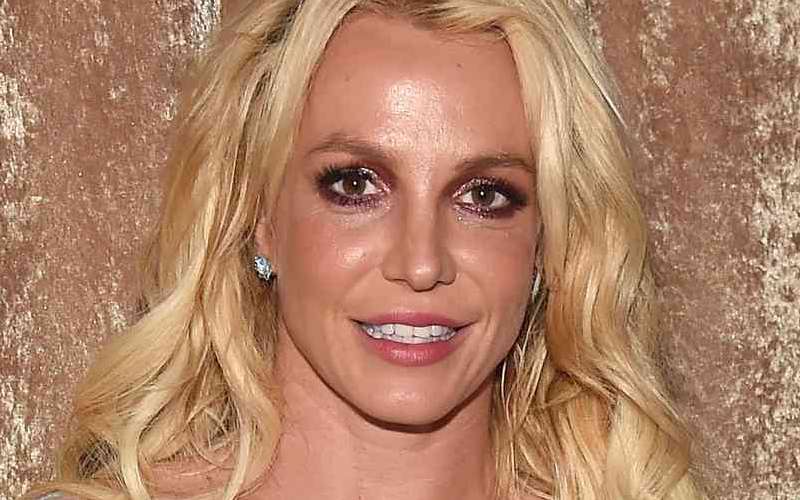 Britney Spears Receives Offer For New Collaboration
