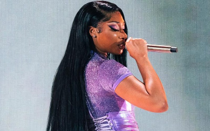 Megan Thee Stallion Turns Up The Heat In Cheeky Purple Outfit During Concert