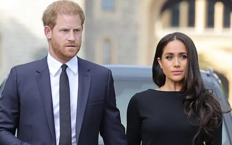 Prince Harry & Meghan Markle Found Out They Were Uninvited From Royal Reception By Reading The News