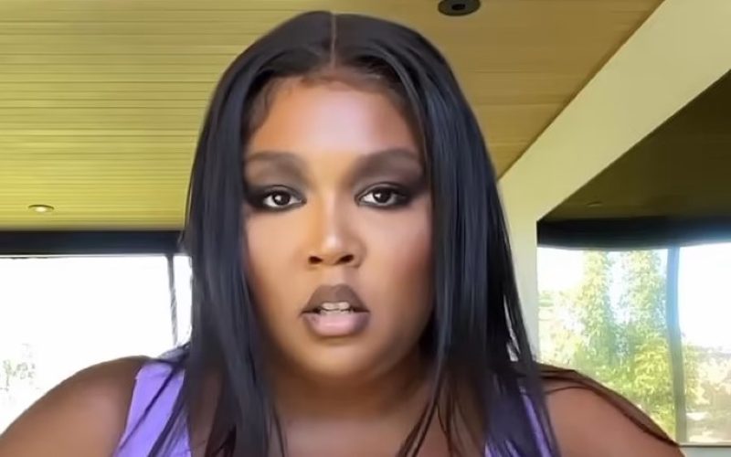 Lizzo Shows Shakes Her Moneymaker While Modeling Lingerie From Her Own Brand