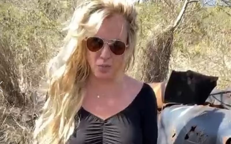 Britney Spears Jokes About Crashing Her Car