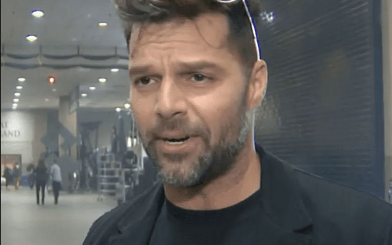 Ricky Martin Files A $20 Million Lawsuit Against His Nephew